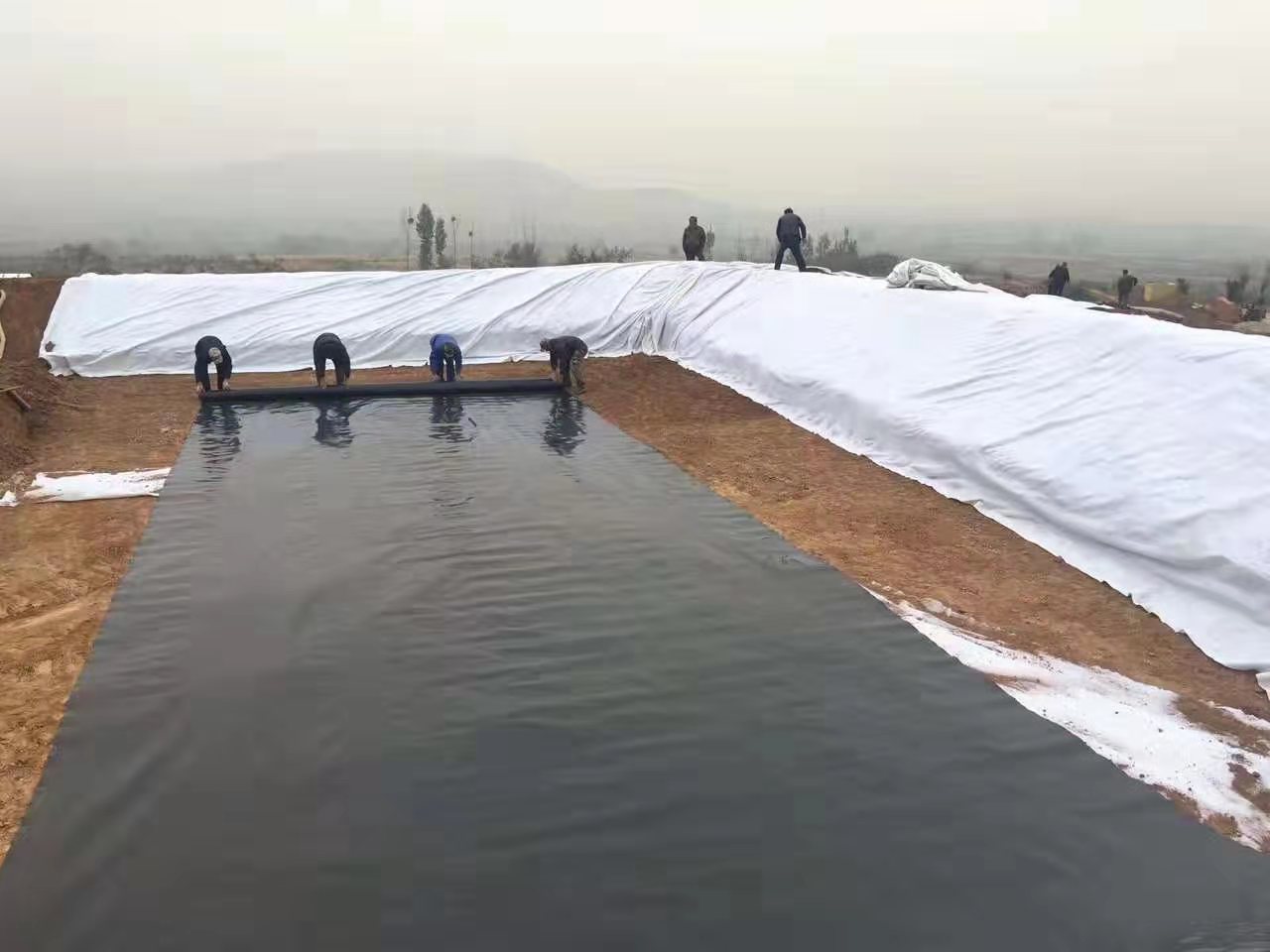  為何通常推薦養(yǎng)殖大戶應(yīng)用黑色的土工膜？