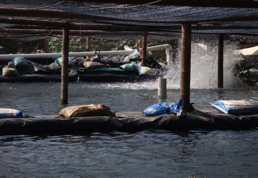 如何防止土工膜產(chǎn)生凍脹毀壞